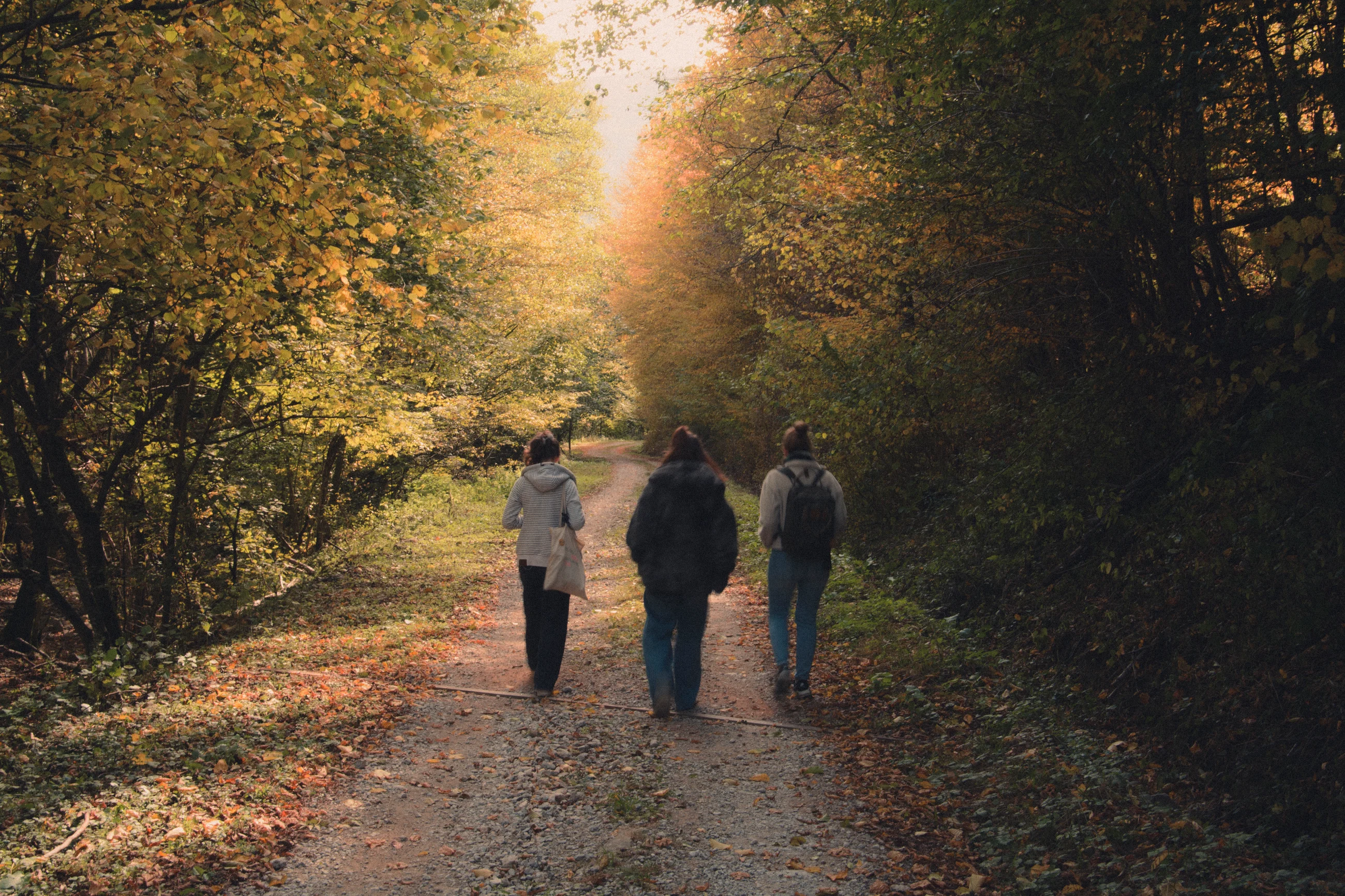 Three people walking along an autumn woodland path