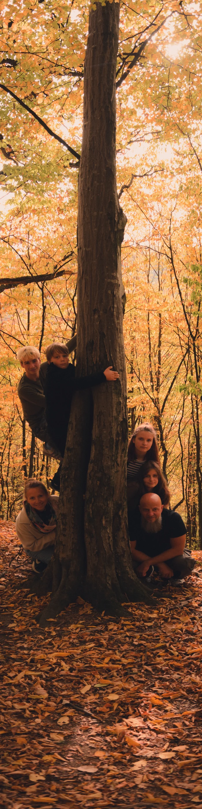Vertical panorama of a tall tree with people at its base