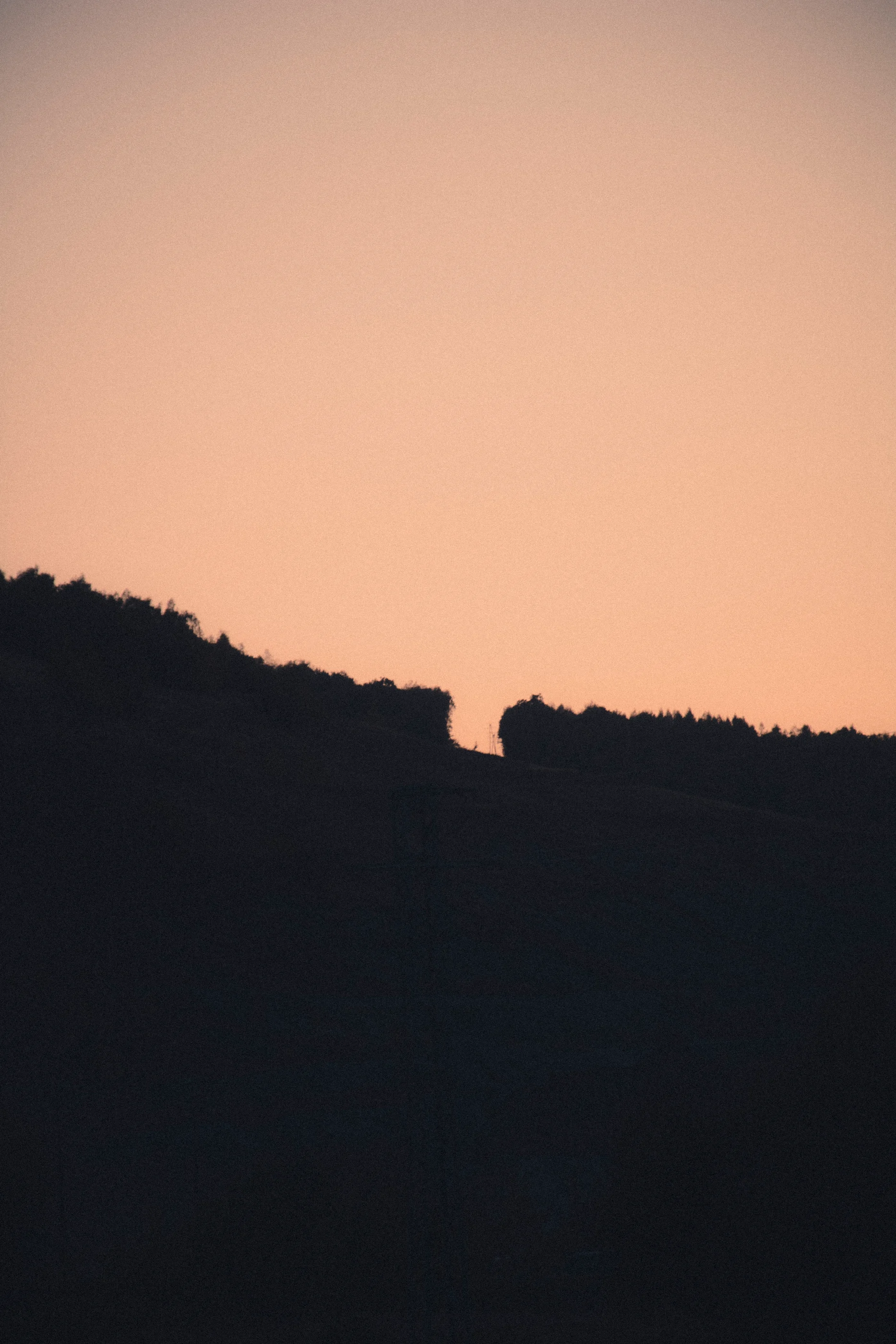 A dark hillside beneath a peach-coloured sunset