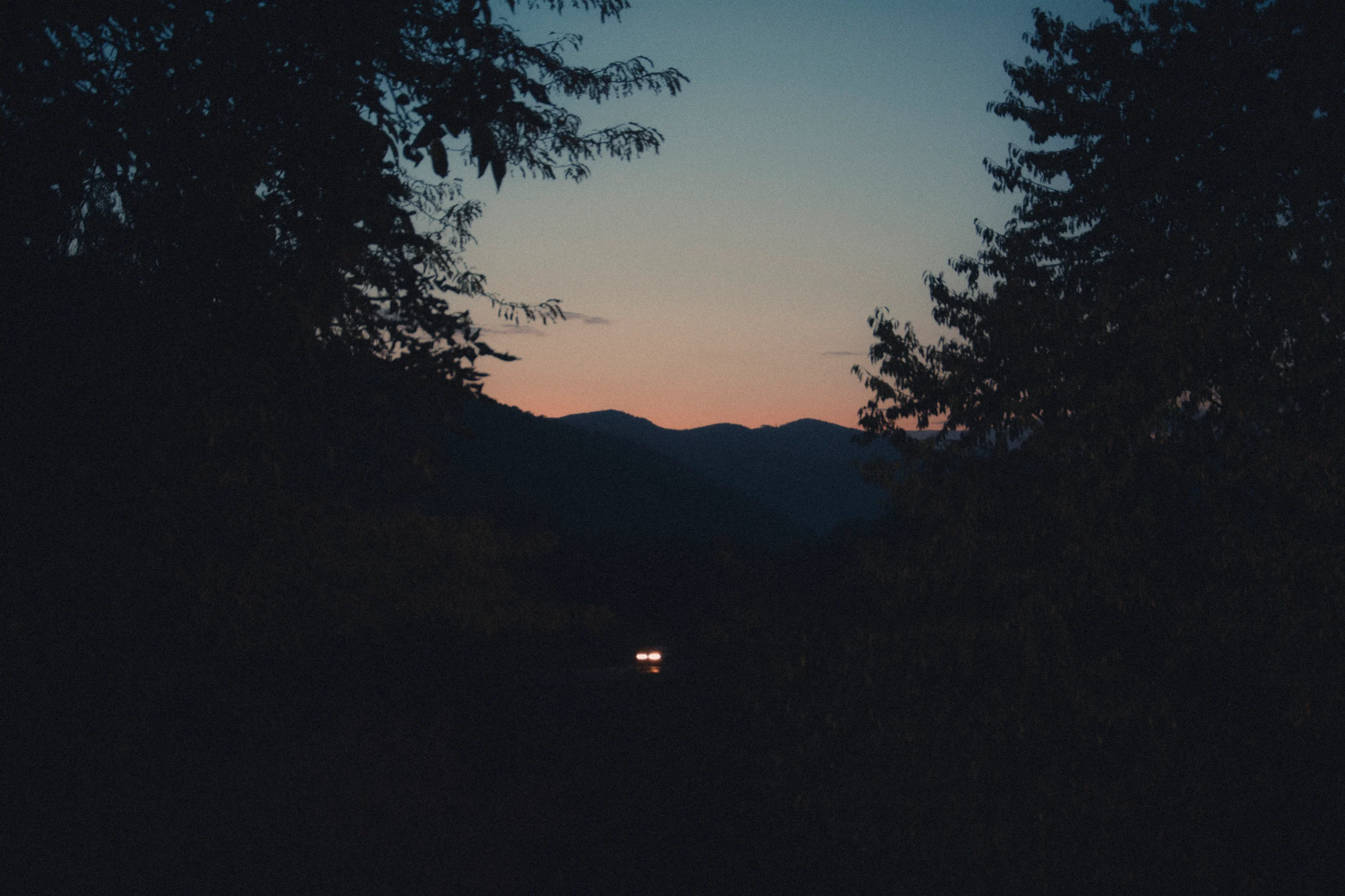 Distant hills framed by a dark tree canopy