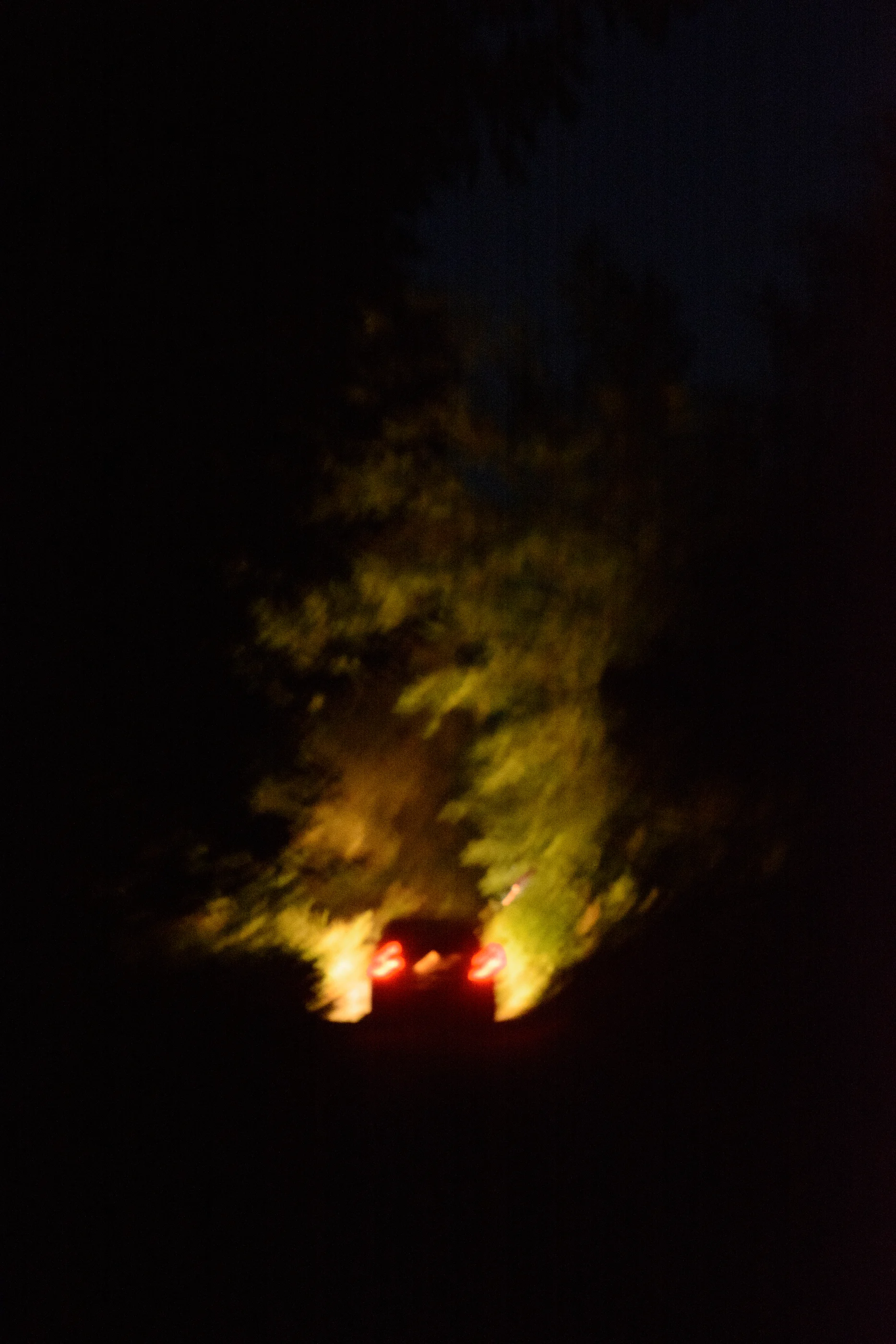 Soft red and yellow lights glowing among trees at night